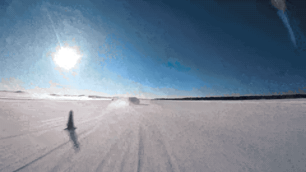 0001.2025-02-17 13_57_42.gif